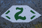 zoldut-1.jpg